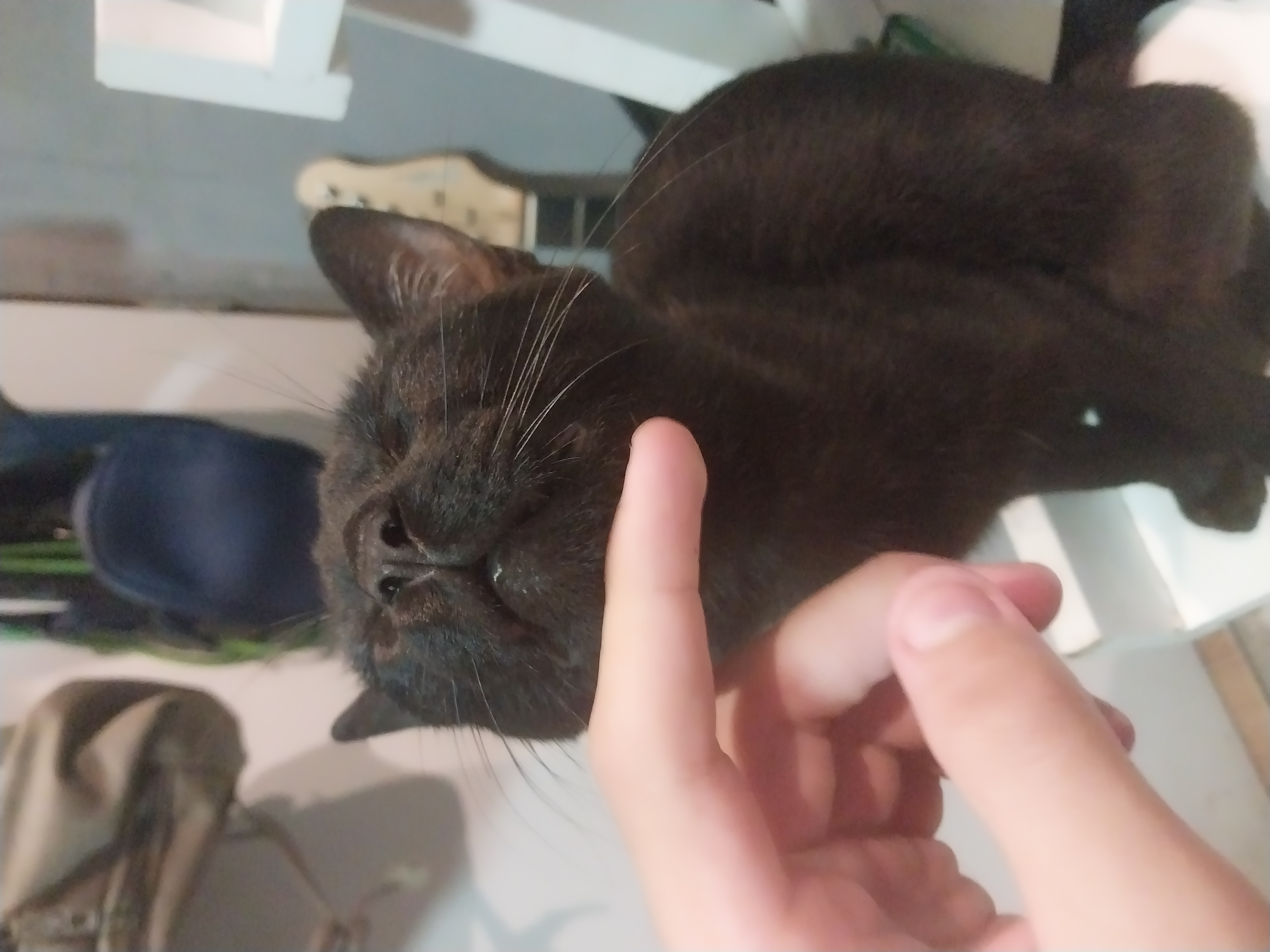 nyah